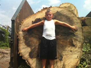 Child Leaning on a Cut Down Tree in Pittsburgh, PA